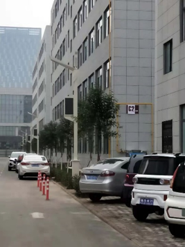 智慧燈桿系統：構建智慧城市神經網絡的核心樞紐